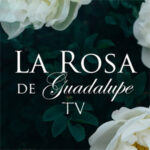 La Rosa de Guadalupe TV en VIVO